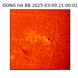 gong - 2025-03-09T21:00:02