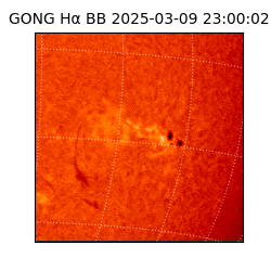 gong - 2025-03-09T23:00:02