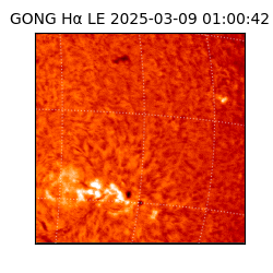 gong - 2025-03-09T01:00:42