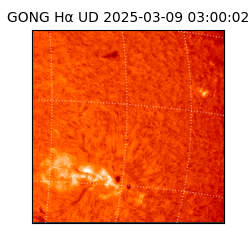 gong - 2025-03-09T03:00:02