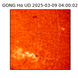 gong - 2025-03-09T04:00:02