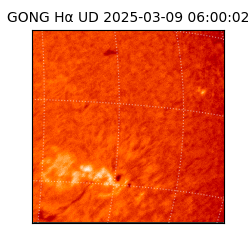 gong - 2025-03-09T06:00:02