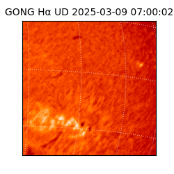 gong - 2025-03-09T07:00:02