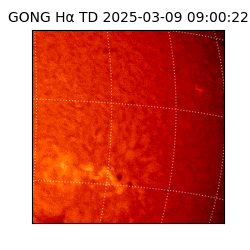 gong - 2025-03-09T09:00:22