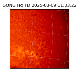 gong - 2025-03-09T11:03:22