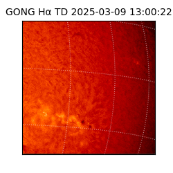 gong - 2025-03-09T13:00:22