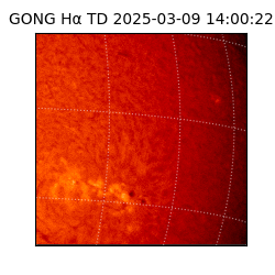 gong - 2025-03-09T14:00:22