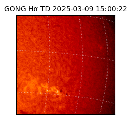 gong - 2025-03-09T15:00:22