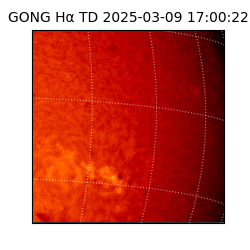 gong - 2025-03-09T17:00:22