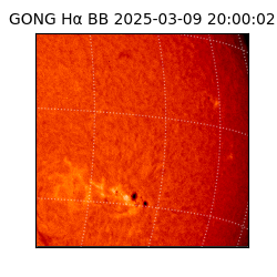 gong - 2025-03-09T20:00:02