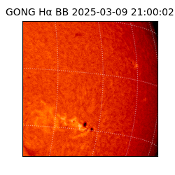 gong - 2025-03-09T21:00:02