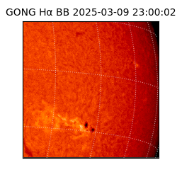 gong - 2025-03-09T23:00:02