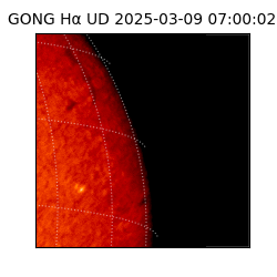 gong - 2025-03-09T07:00:02