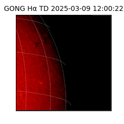 gong - 2025-03-09T12:00:22