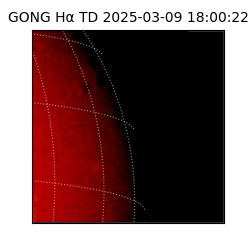 gong - 2025-03-09T18:00:22