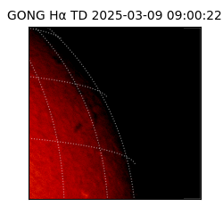 gong - 2025-03-09T09:00:22