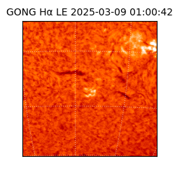 gong - 2025-03-09T01:00:42