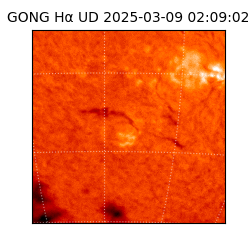 gong - 2025-03-09T02:09:02