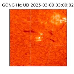 gong - 2025-03-09T03:00:02