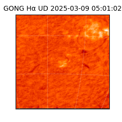 gong - 2025-03-09T05:01:02