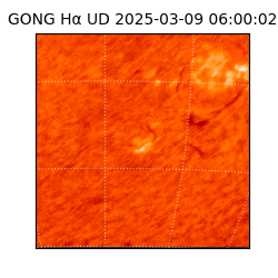 gong - 2025-03-09T06:00:02