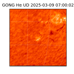 gong - 2025-03-09T07:00:02