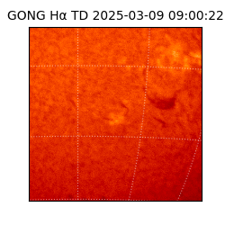 gong - 2025-03-09T09:00:22