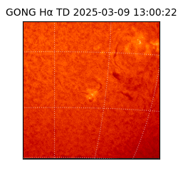 gong - 2025-03-09T13:00:22