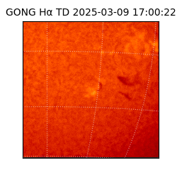 gong - 2025-03-09T17:00:22