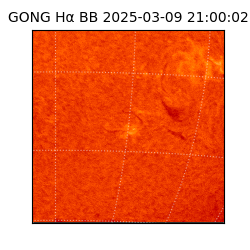 gong - 2025-03-09T21:00:02