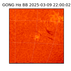 gong - 2025-03-09T22:00:02