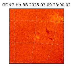 gong - 2025-03-09T23:00:02