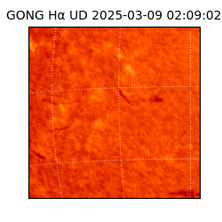gong - 2025-03-09T02:09:02