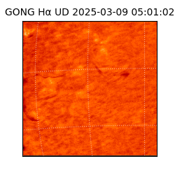 gong - 2025-03-09T05:01:02