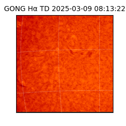gong - 2025-03-09T08:13:22