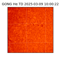 gong - 2025-03-09T10:00:22