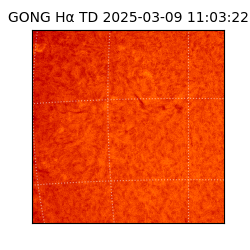 gong - 2025-03-09T11:03:22