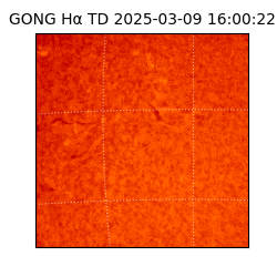 gong - 2025-03-09T16:00:22