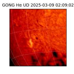 gong - 2025-03-09T02:09:02