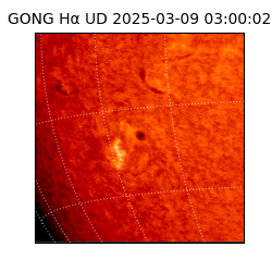 gong - 2025-03-09T03:00:02
