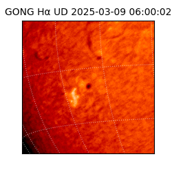 gong - 2025-03-09T06:00:02