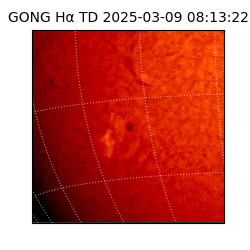 gong - 2025-03-09T08:13:22