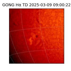 gong - 2025-03-09T09:00:22
