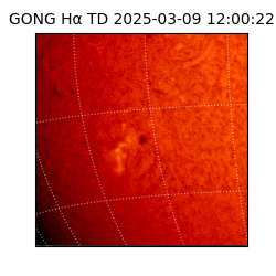 gong - 2025-03-09T12:00:22
