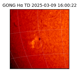 gong - 2025-03-09T16:00:22