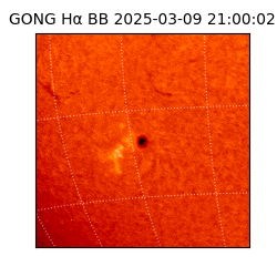 gong - 2025-03-09T21:00:02