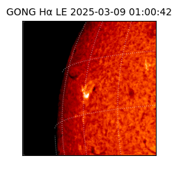 gong - 2025-03-09T01:00:42