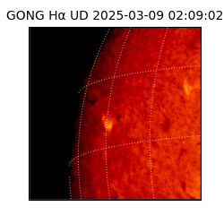 gong - 2025-03-09T02:09:02