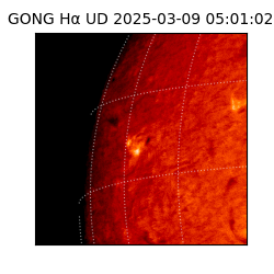 gong - 2025-03-09T05:01:02