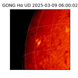 gong - 2025-03-09T06:00:02
